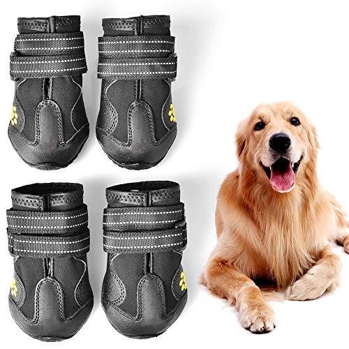 dog walking shoes waterproof